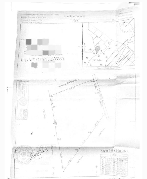 6 hectares of land with palms and cocoa for sale at Tiko-...