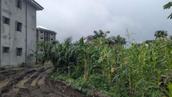 432m² for sale in Buea- Bomaka opposite Fuchor city guest...